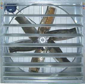 ؓL(fng)Cʹ÷ǳ(ji)ʡg